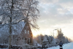Ketting-2-B2-Steven-Zwart-IMG_1228