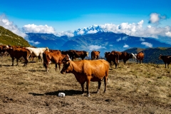 Keimpe-Roedema-IMG_0542