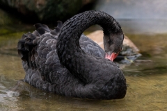 02-Hennie-de-Jong-patronen-in-de-natuur