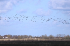 Froukje-Schregardus-IMG_7719