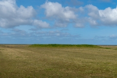 Jan-Venema-4-_DSC9327