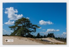Zandverstuiving Appelscha - Betty Kooistra