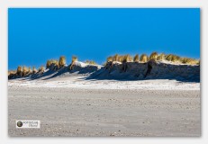 Strand  Schiermonnikoog- Inge Ladenius